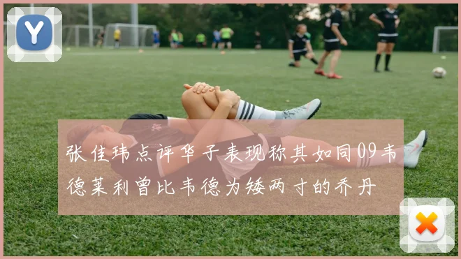 张佳玮点评华子表现称其如同09韦德莱利曾比韦德为矮两寸的乔丹